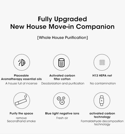 HEPA Ion Air Purifier