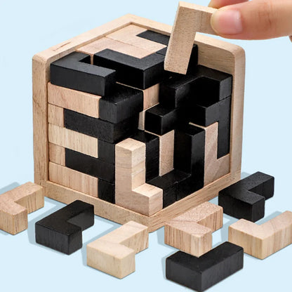 3D Wooden Interlocking Puzzle