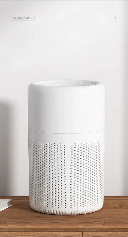HEPA Ion Air Purifier