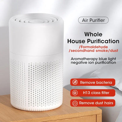 HEPA Ion Air Purifier