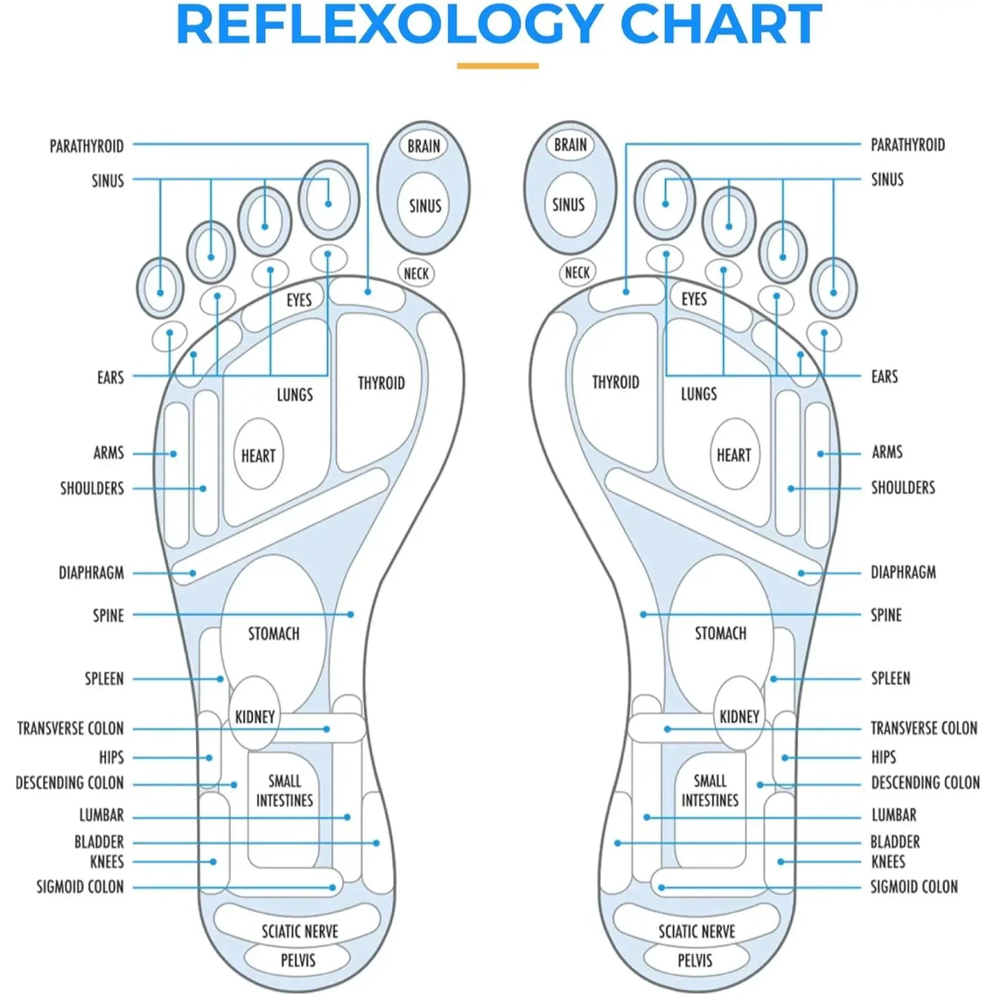 Reflexology Massage Mat