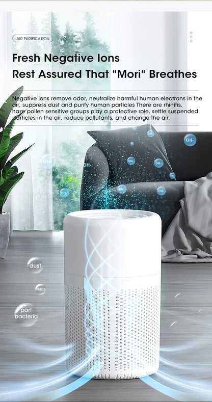 HEPA Ion Air Purifier